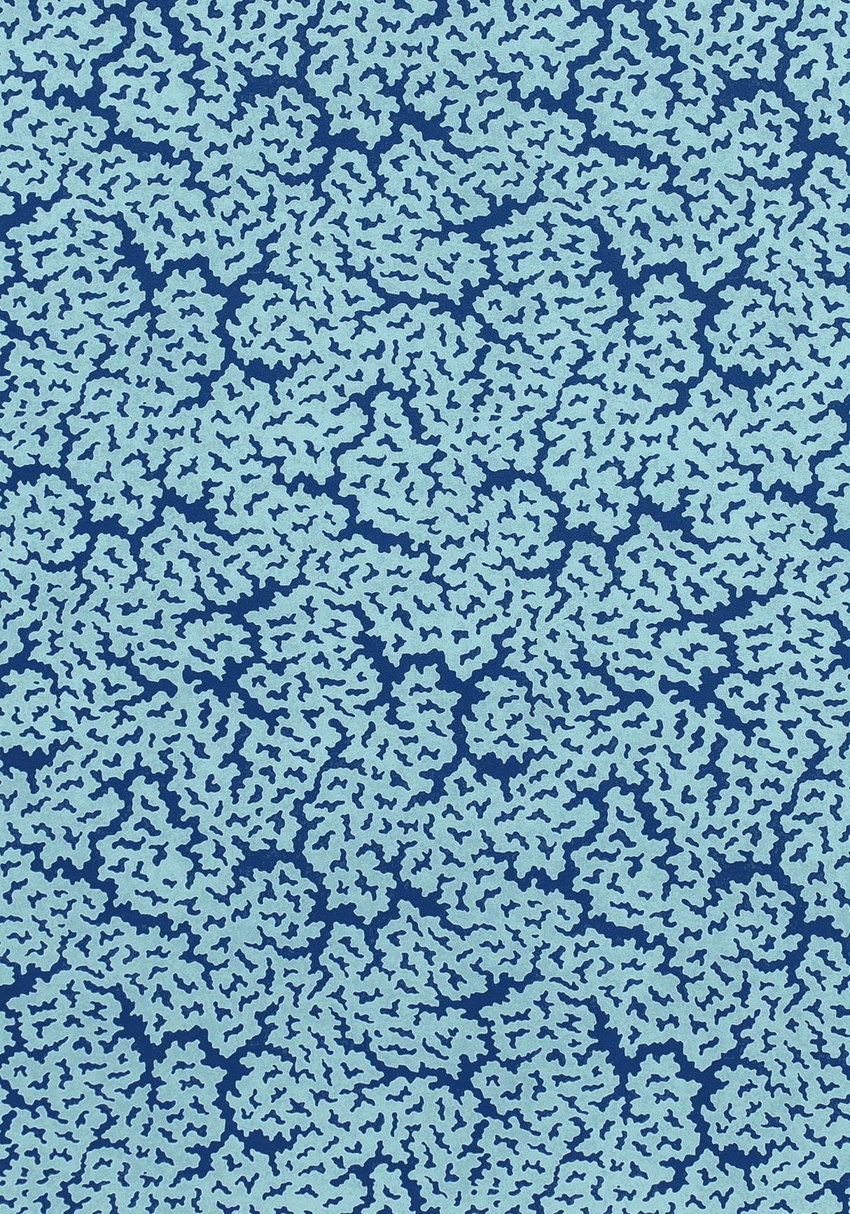 Thibaut F942040 MALDIVES Navy Fabric