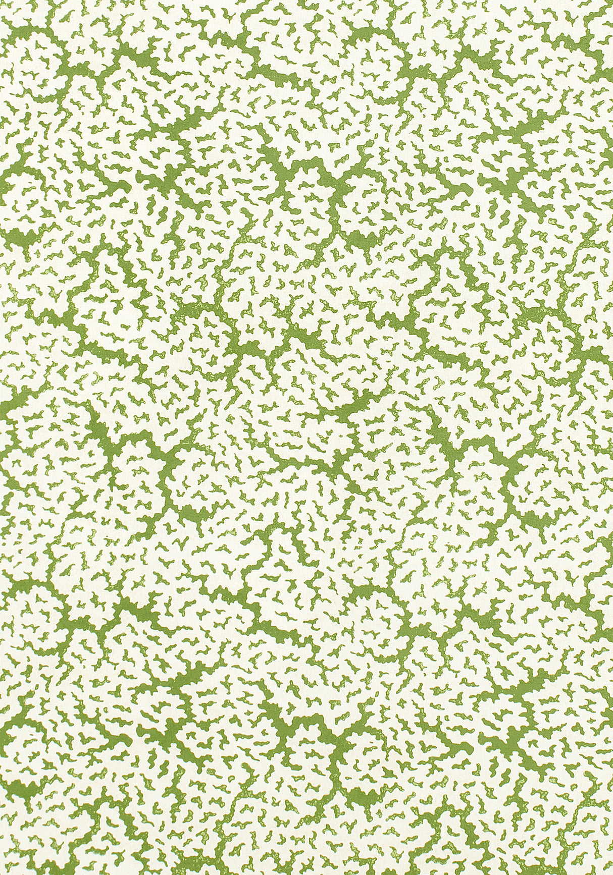 Thibaut F942041 MALDIVES Green Fabric