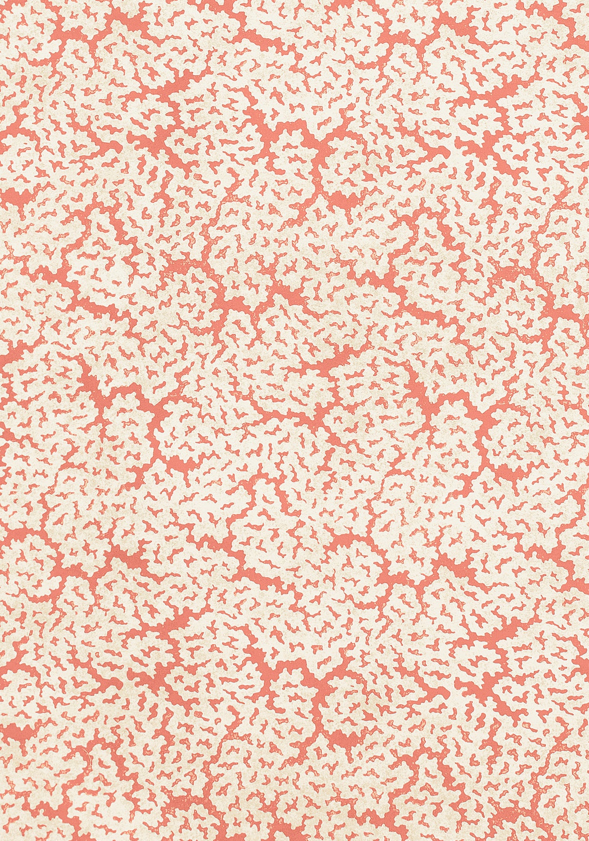 Thibaut F942043 MALDIVES Coral Fabric