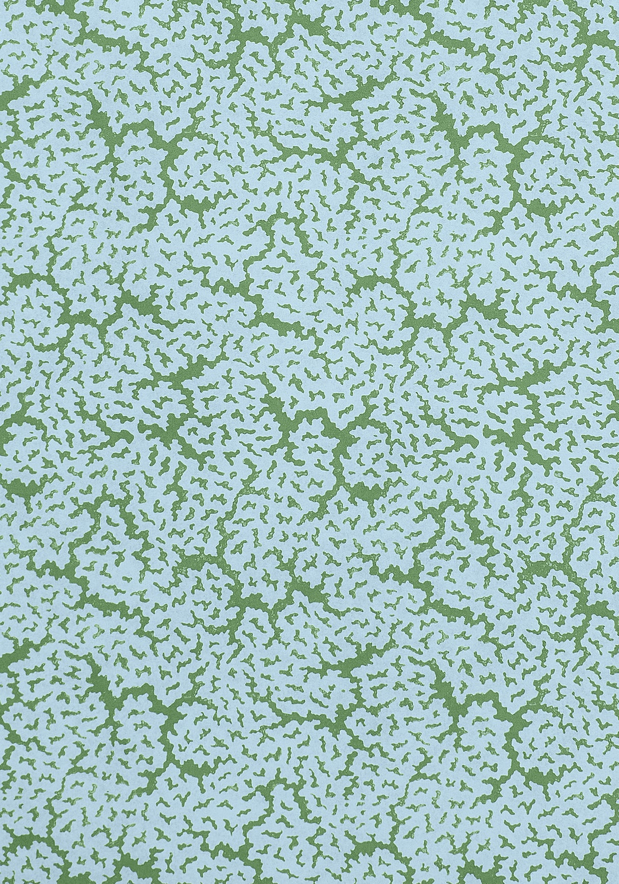 Thibaut F942044 MALDIVES Blue and Green Fabric