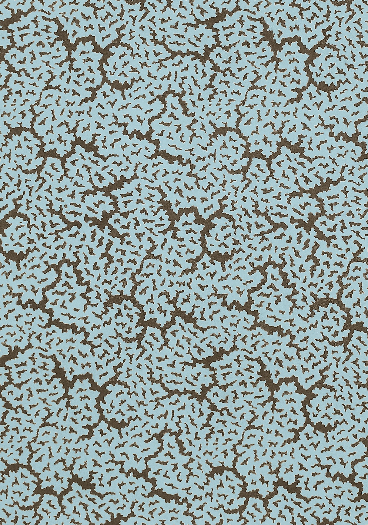 Thibaut F942045 MALDIVES Spa Blue and Brown Fabric