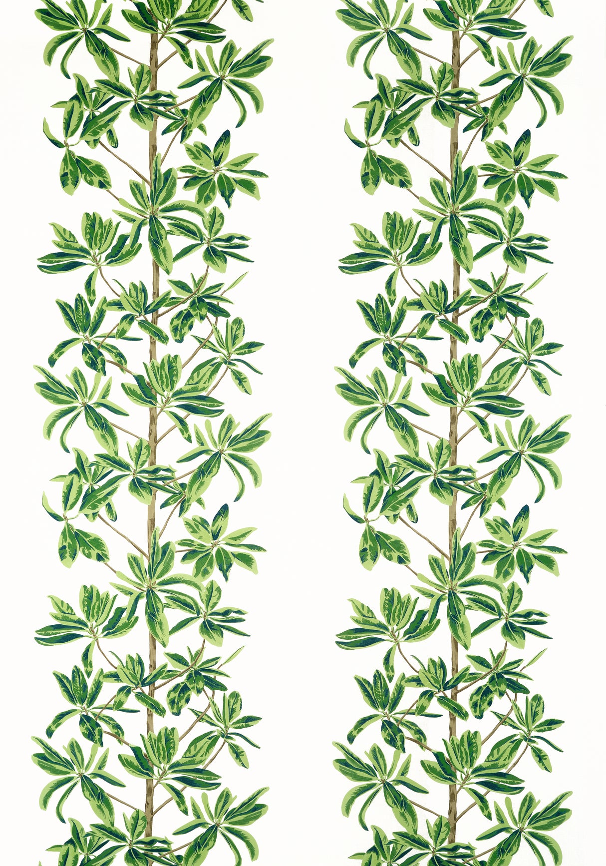 Thibaut F945035 MANGROVE TREE Green and White Fabric
