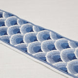 Eade’s FANNY EMB TAPE BLUES BLUES