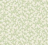 Seabrook Designs FC62104 Wallpaper - Eade's Wallpaper & Fabric
