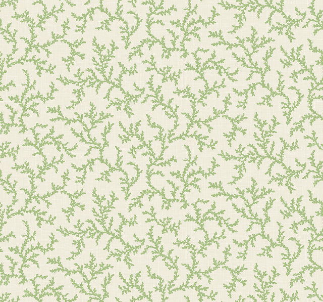 Seabrook Designs FC62104 Wallpaper - Eade's Wallpaper & Fabric