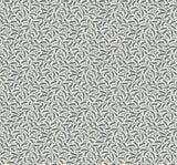 Seabrook Designs FC62200 Wallpaper - Eade's Wallpaper & Fabric