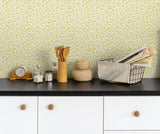 Seabrook Designs FC62203 Wallpaper - Eade's Wallpaper & Fabric