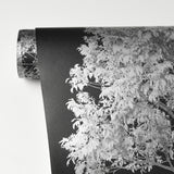 Brewster FD23279 Tree Tops Black Photographic  Wallpaper
