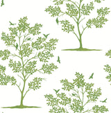 Brewster FD23282 Woodland Green Trees & Birds Wallpaper