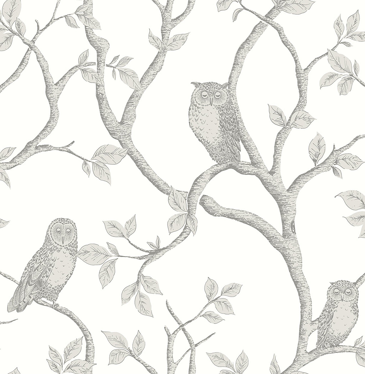 Brewster FD23289 Enchanted Forest Grey Owl & Tree Wallpaper