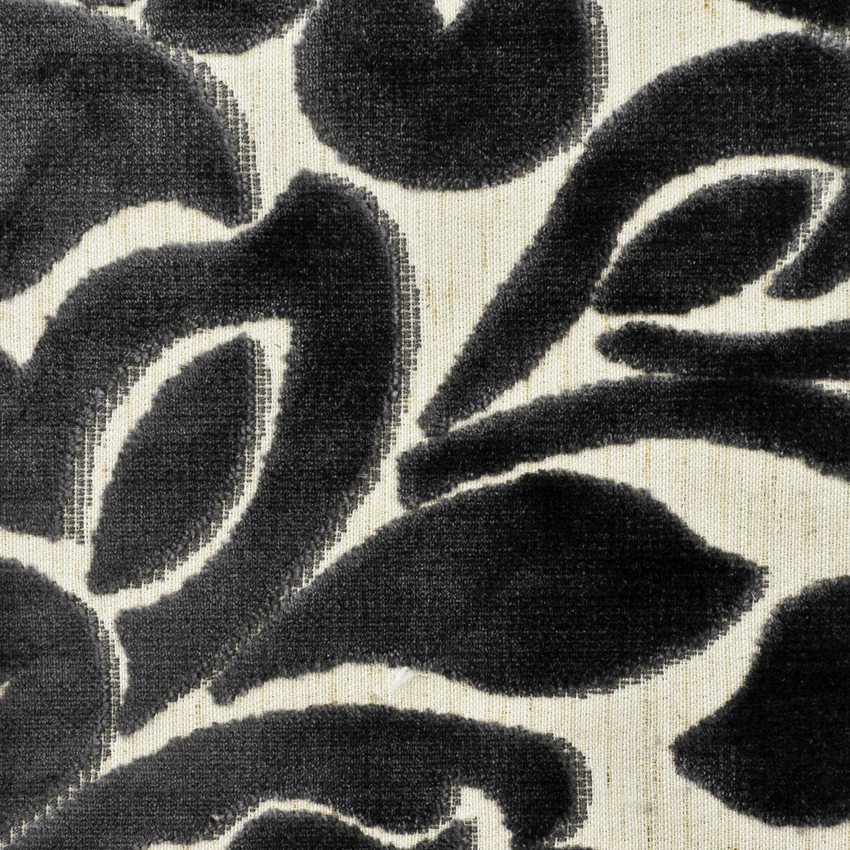 STOUT FENN-1 FENNEL 1 CHARCOAL Fabric - Eades Wallpaper & Fabric