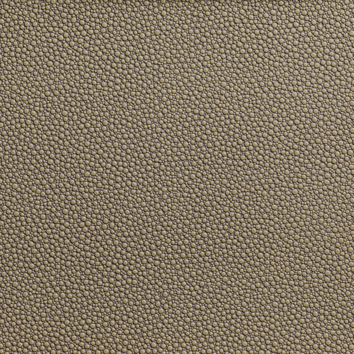 KRAVET CONTRACT FETCH.106.0 FETCH HEMP Fabric - Eade's Wallpaper
