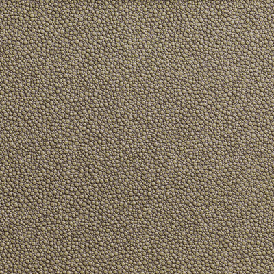 KRAVET CONTRACT FETCH.106.0 FETCH HEMP Fabric - Eade's Wallpaper