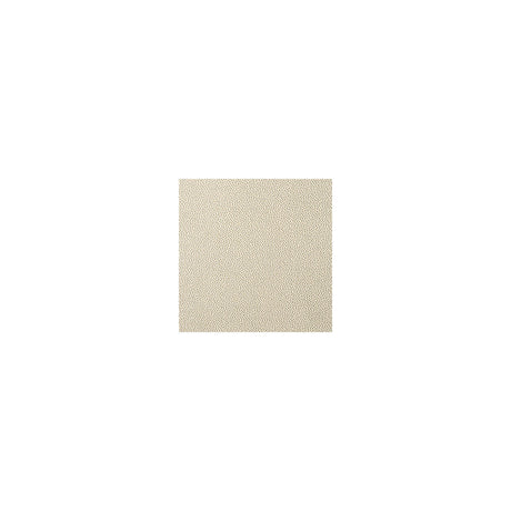 KRAVET CONTRACT FETCH.116.0 FETCH CHAMPAGNE Fabric - Eade's Wallpaper