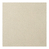 KRAVET CONTRACT FETCH.116.0 FETCH CHAMPAGNE Fabric - Eade's Wallpaper