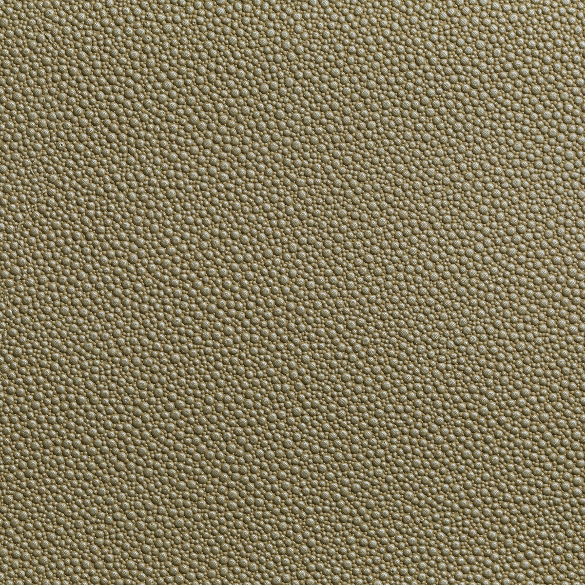 KRAVET CONTRACT FETCH.16.0 FETCH RADIANT Fabric - Eade's Wallpaper