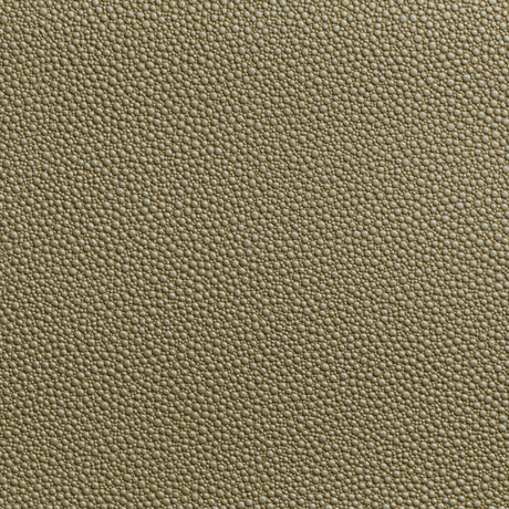 KRAVET CONTRACT FETCH.16.0 FETCH RADIANT Fabric - Eade's Wallpaper