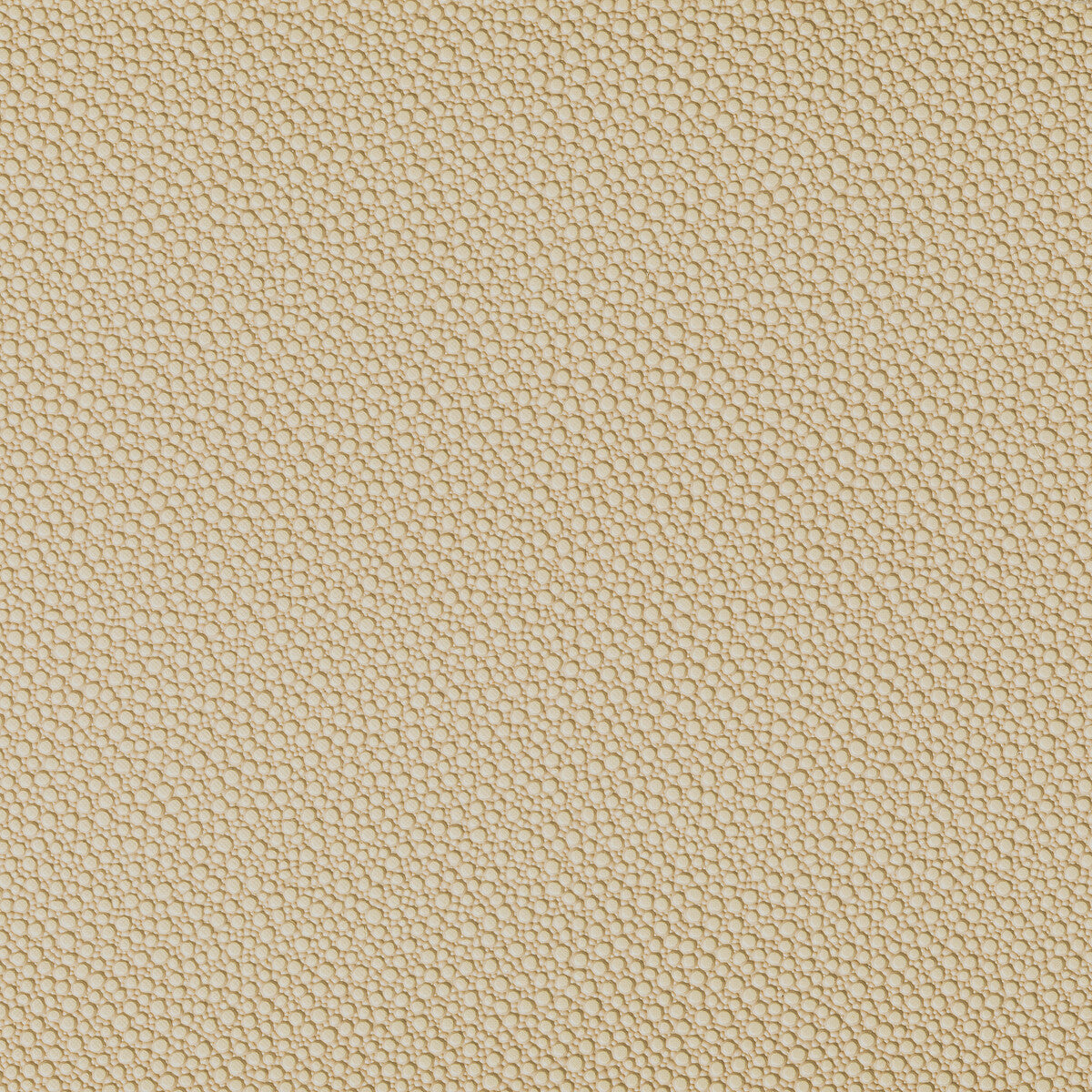 KRAVET CONTRACT FETCH.1606.0 FETCH SANDBAR Fabric - Eade's Wallpaper