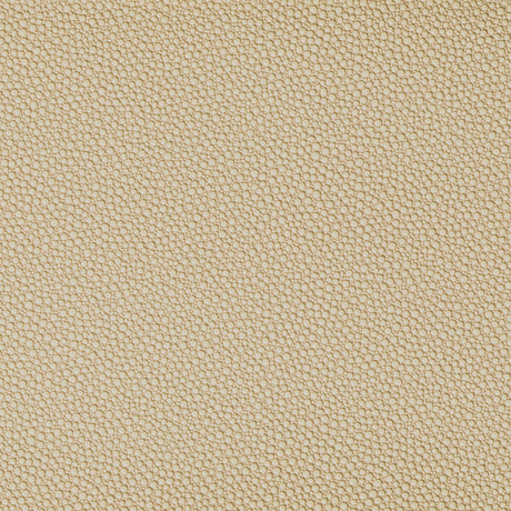 KRAVET CONTRACT FETCH.1606.0 FETCH SANDBAR Fabric - Eade's Wallpaper