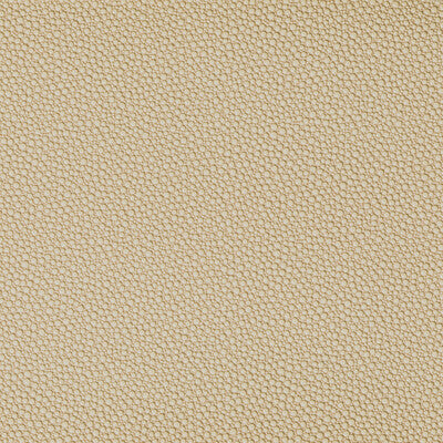 KRAVET CONTRACT FETCH.1606.0 FETCH SANDBAR Fabric - Eade's Wallpaper