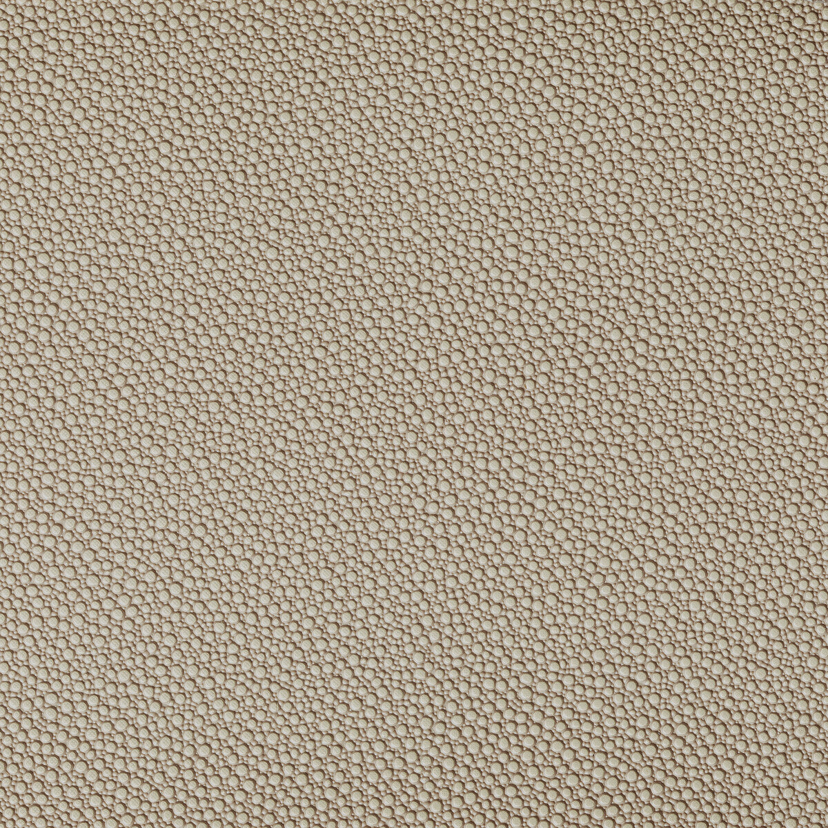 KRAVET CONTRACT FETCH.1616.0 FETCH STONE Fabric - Eade's Wallpaper