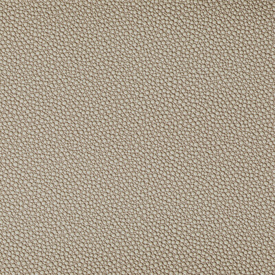 KRAVET CONTRACT FETCH.1616.0 FETCH STONE Fabric - Eade's Wallpaper