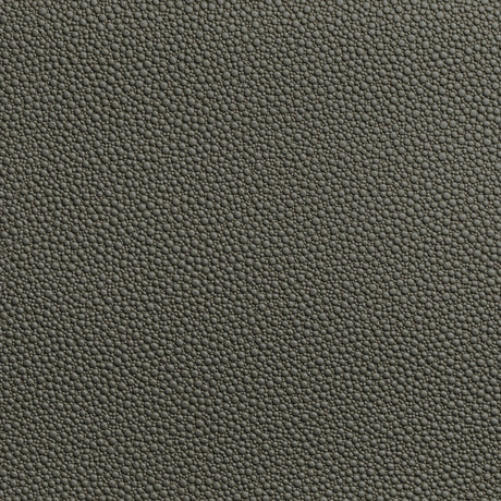 KRAVET CONTRACT FETCH.21.0 FETCH GRANITE Fabric - Eade's Wallpaper