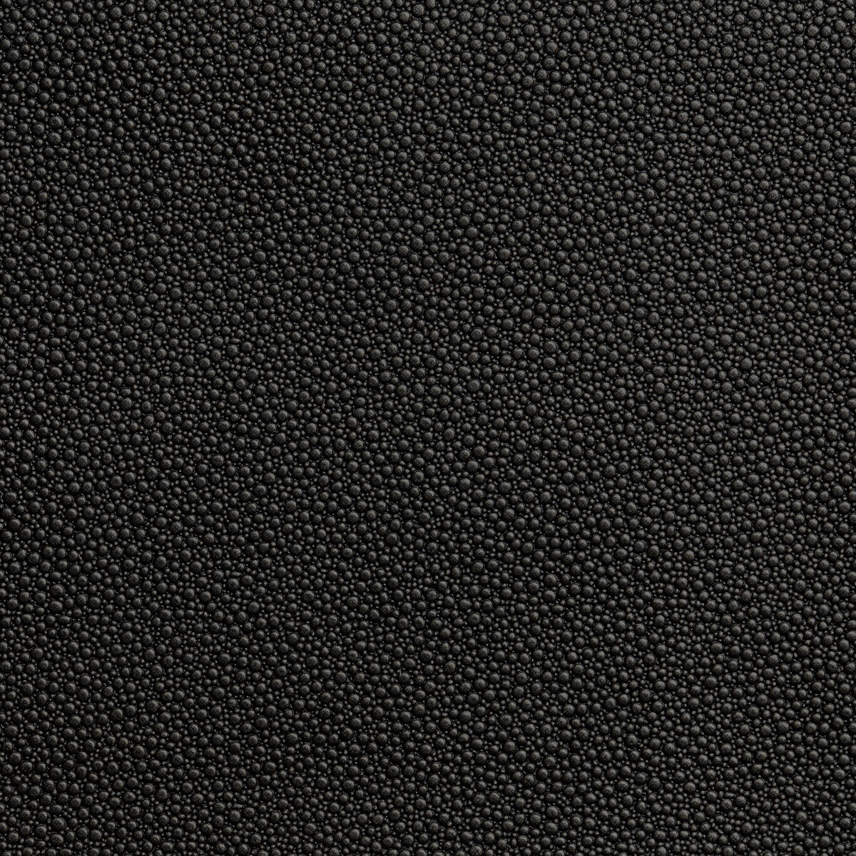 KRAVET CONTRACT FETCH.8.0 FETCH STALLION Fabric - Eade's Wallpaper