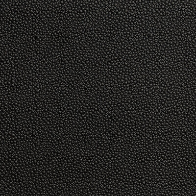 KRAVET CONTRACT FETCH.8.0 FETCH STALLION Fabric - Eade's Wallpaper