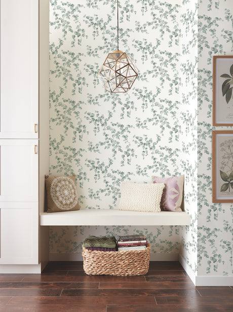 York FH4037 Creeping Fig Vine Sage Wallpaper