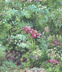 Seabrook Designs FI70701 Wallpaper - Eade's Wallpaper & Fabric