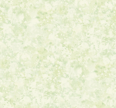 Seabrook Designs FI71404 Wallpaper - Eade's Wallpaper & Fabric