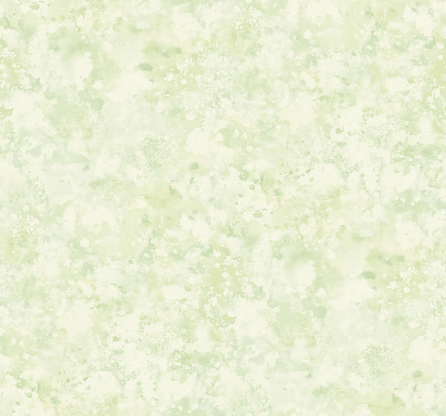 Seabrook Designs FI71404 Wallpaper - Eade's Wallpaper & Fabric