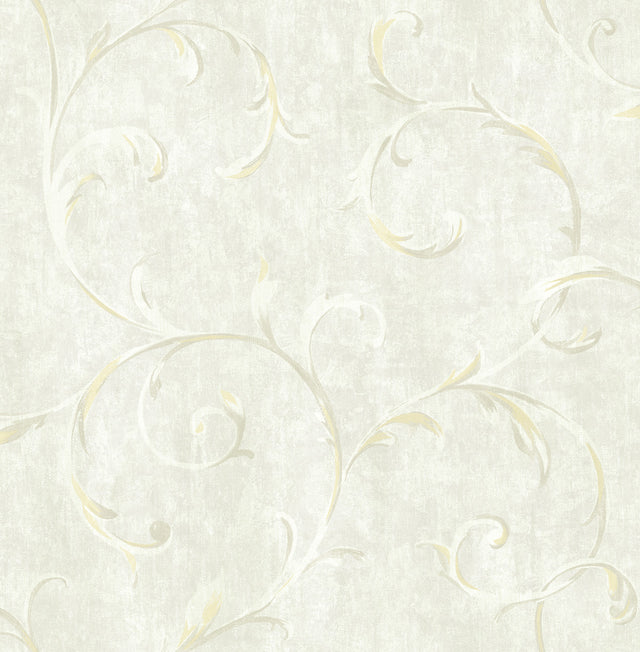 Seabrook Designs FI71602 Wallpaper - Eade's Wallpaper & Fabric