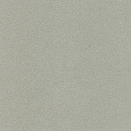 Eade's FINN-1-sample GREY