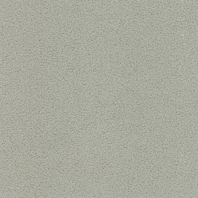Eade's FINN-1-sample GREY