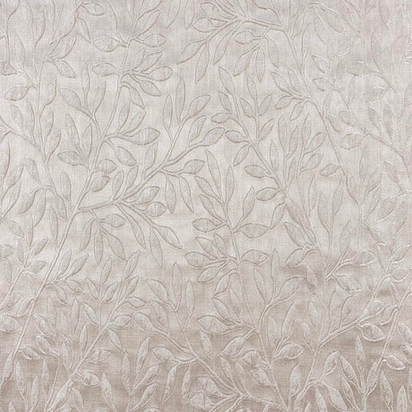 Eade’s FIXITY OYSTER OYSTER