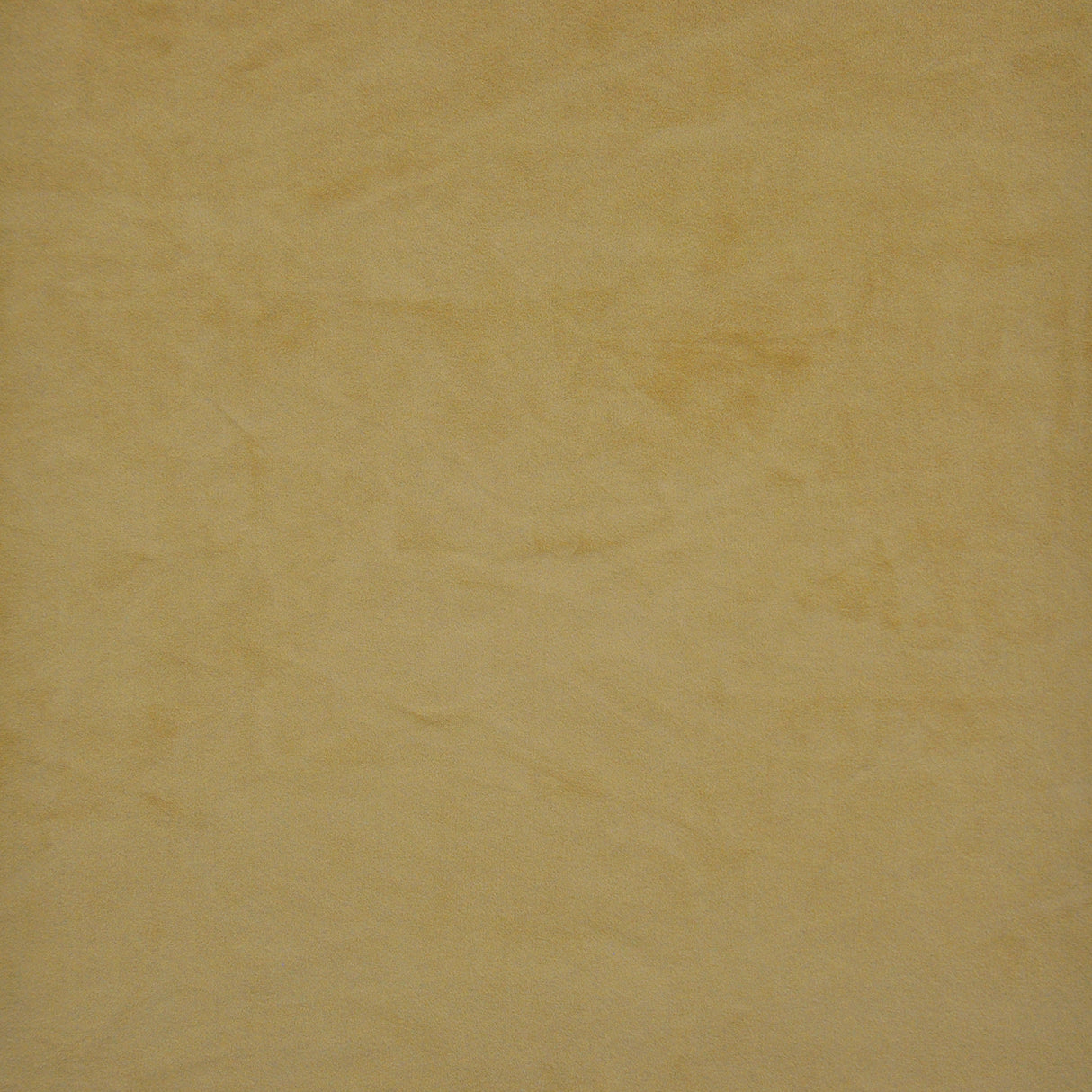 Eade’s # 520 BUTTERSCOTCH