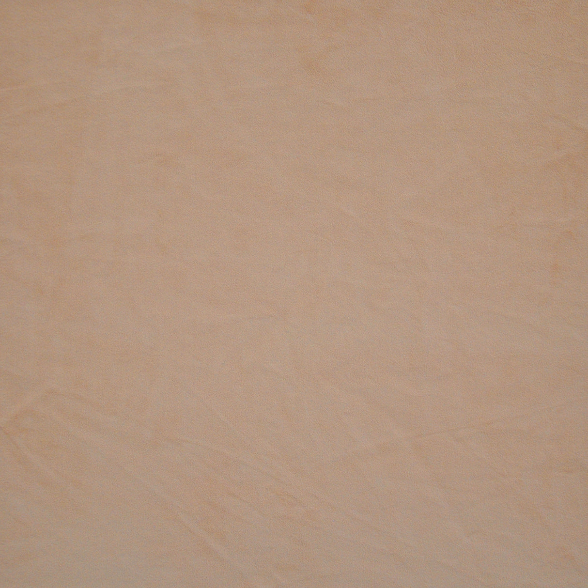 Eade’s # 523 VENUS