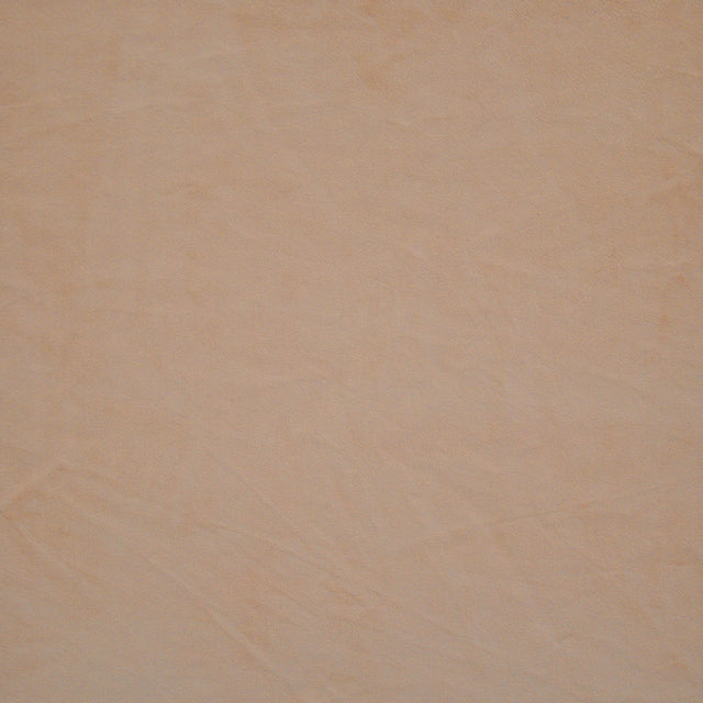 Eade’s # 523 VENUS