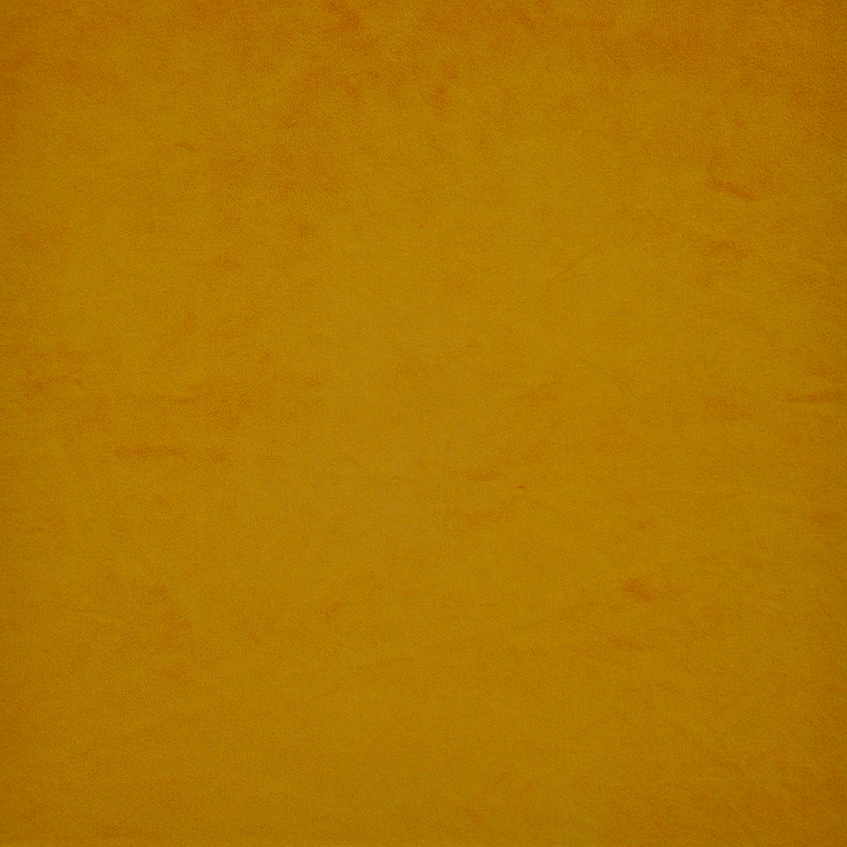 Eade’s # 534 SUNSHINE