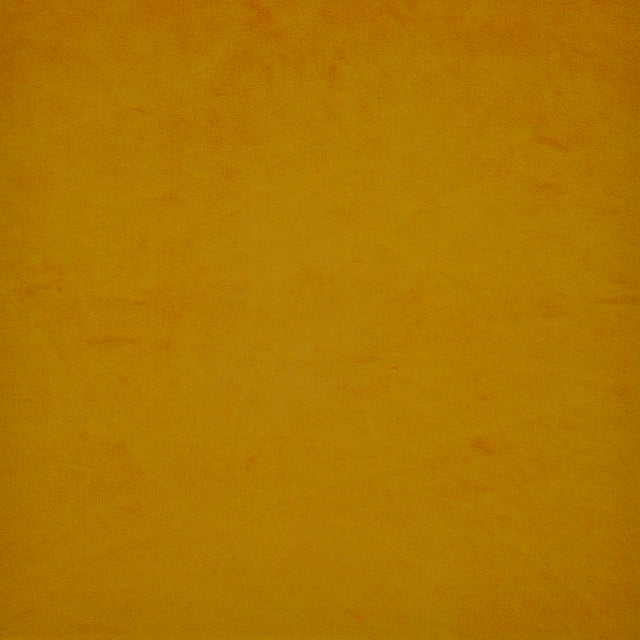 Eade’s # 534 SUNSHINE