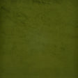 Eade’s # 537 POBLANO