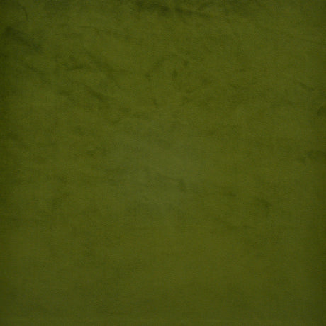 Eade’s # 537 POBLANO