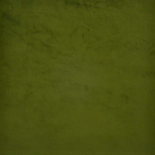 Eade’s # 537 POBLANO