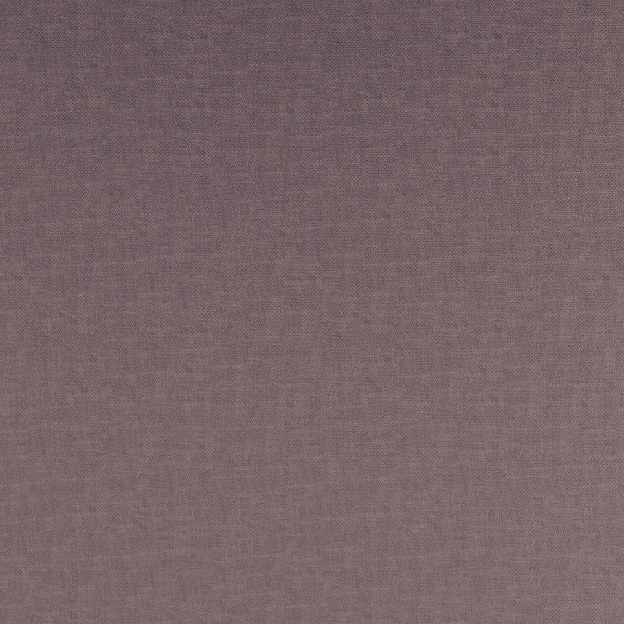 Eade’s # 798 LILAC