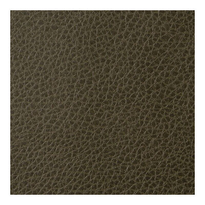 KRAVET CONTRACT FOOTHILL.33.0 FOOTHILL TORTOISE Fabric - Eade's Wallpaper