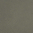 KRAVET COUTURE FORGETFUL.21.0 FORGETFUL GREYSTONE Fabric - Eade's Wallpaper