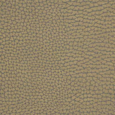 KRAVET COUTURE FORGETFUL.6.0 FORGETFUL STONE Fabric - Eade's Wallpaper