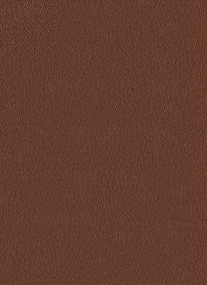 KRAVET DESIGN FORTUNE.6.0 KRAVET DESIGN FORTUNE-6 Fabric - Eade's Wallpaper